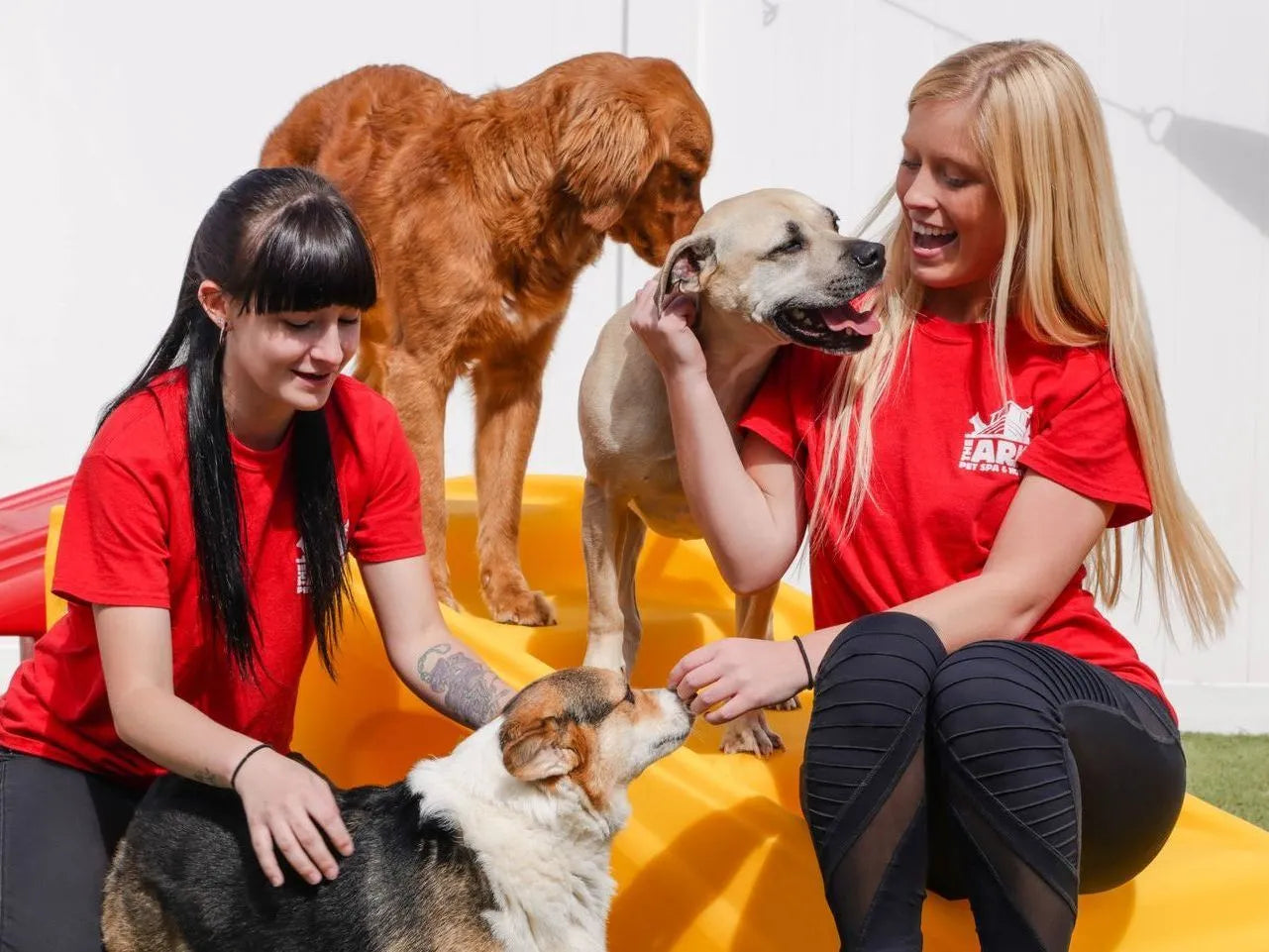 Unleashing Happiness: The Benefits of Doggy Daycare