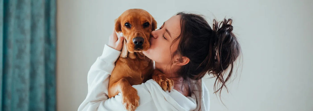 Celebrating National Pet Month: Fun Ways to Make April All About Your Dog