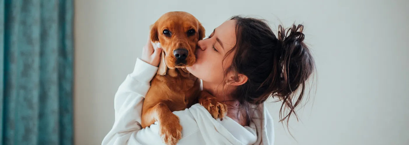 Celebrating National Pet Month: Fun Ways to Make April All About Your Dog