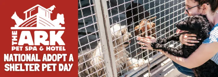 Happy National Adopt a Shelter Pet Day from The Ark Pet Spa and Hotel!