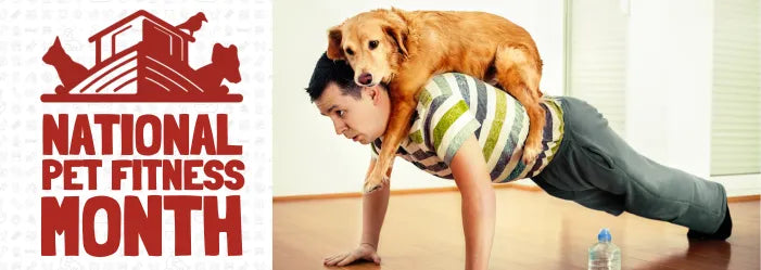 Embrace National Pet Fitness Month with The Ark