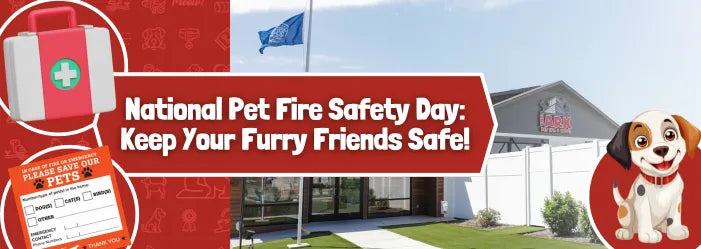 National Pet Fire Safety Day: Keep Your Furry Friends Safe!