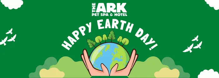 Celebrating Earth Day