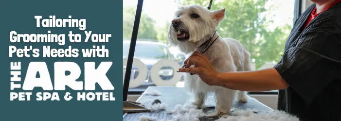 Tailoring Grooming to Your Pet's Needs with The Ark