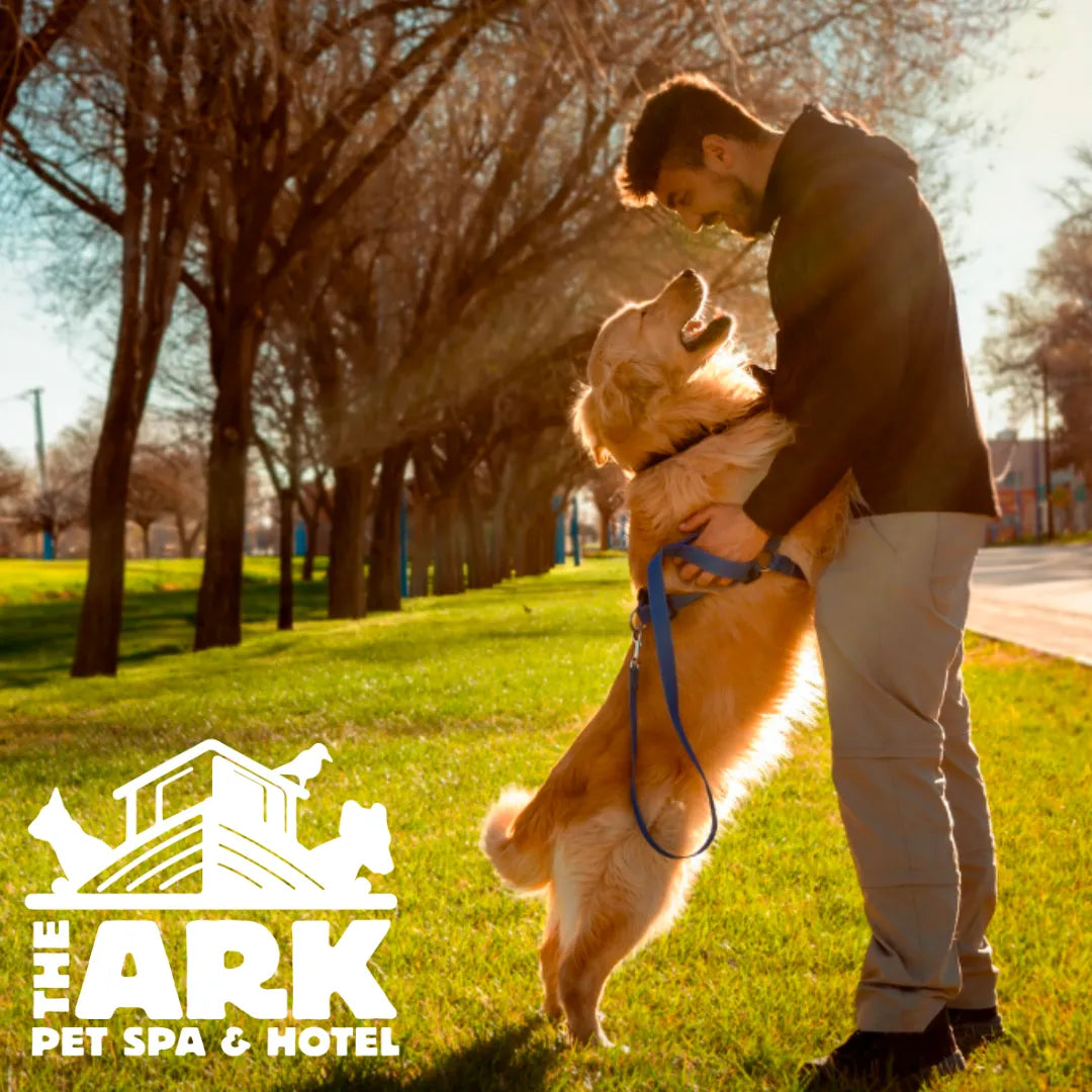 Unleashing Joy: Chattanooga's Best Dog Parks for Your Furry Friend