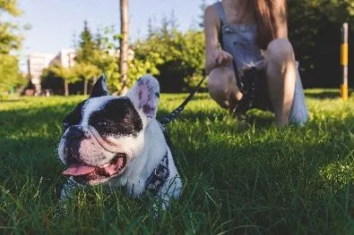 WELLNESS WEDNESDAY - JULY 11TH, 2018