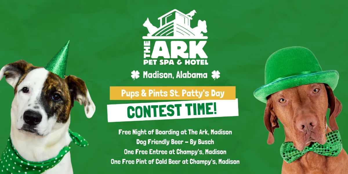 PUPS & PINTS | ST. PATTY'S DAY CONTEST