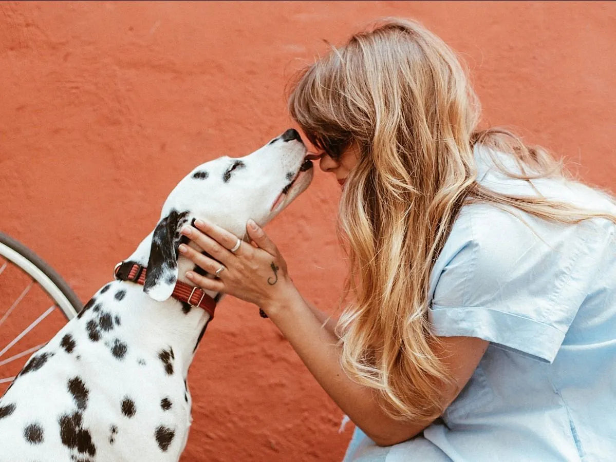 3 GREAT WAYS TO SPEND VALENTINE'S DAY WITH YOUR DOG