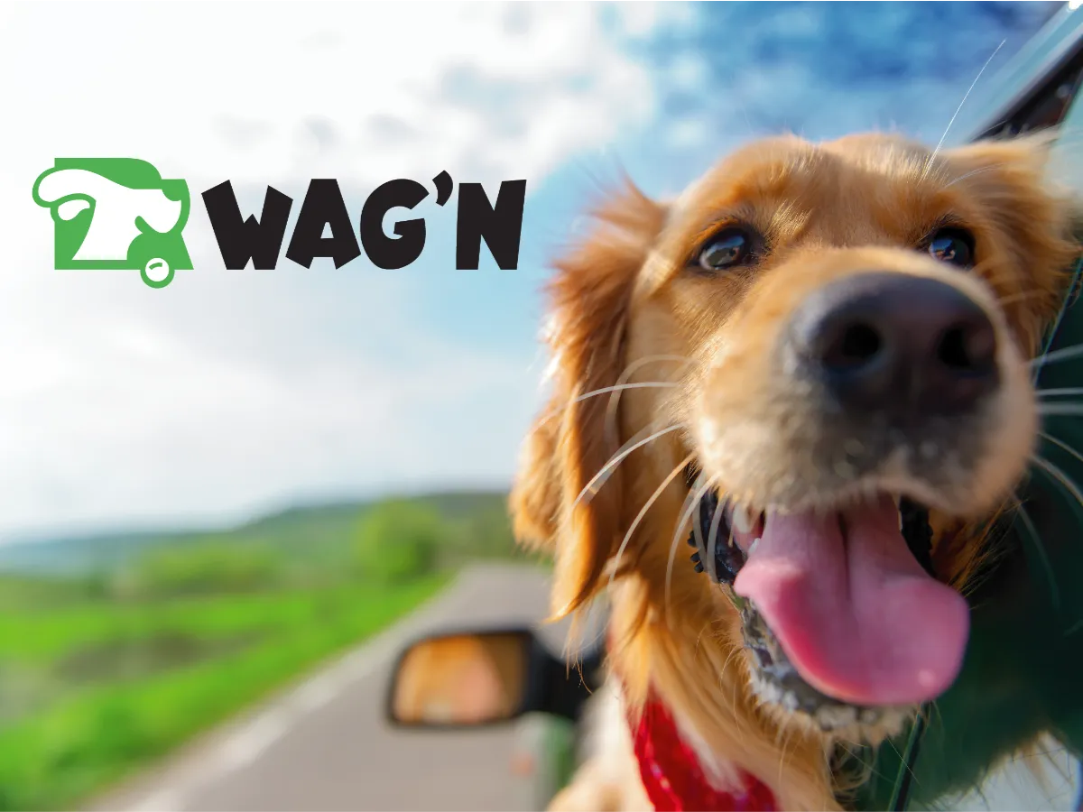 GO WAG'N PET TRANSPORTATION