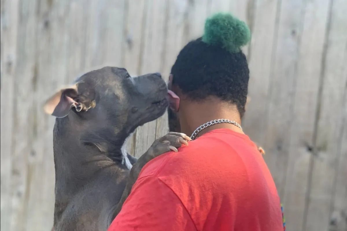 5 FACTS ABOUT DOG KISSES!
