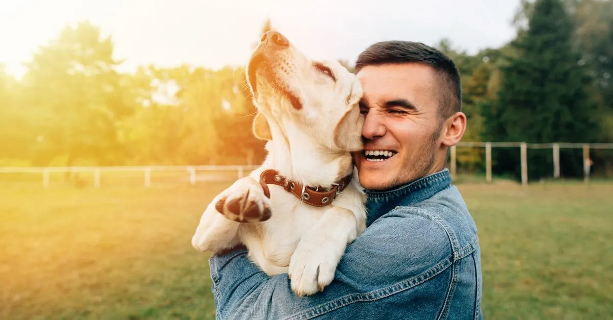 Celebrating Responsible Pet Owners Month