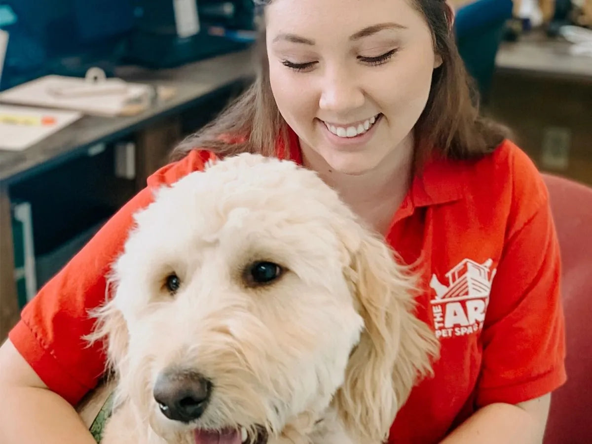 A QUICK RECAP OF THE NEW ANIMAL CRUELTY LAW