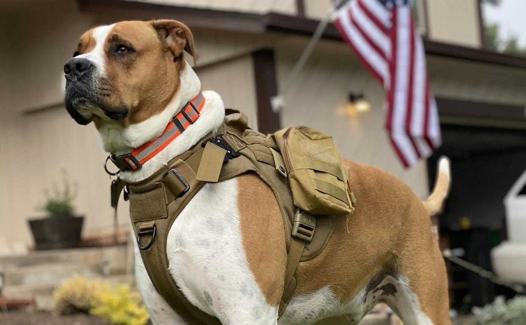 Honoring Our Brave Heroes