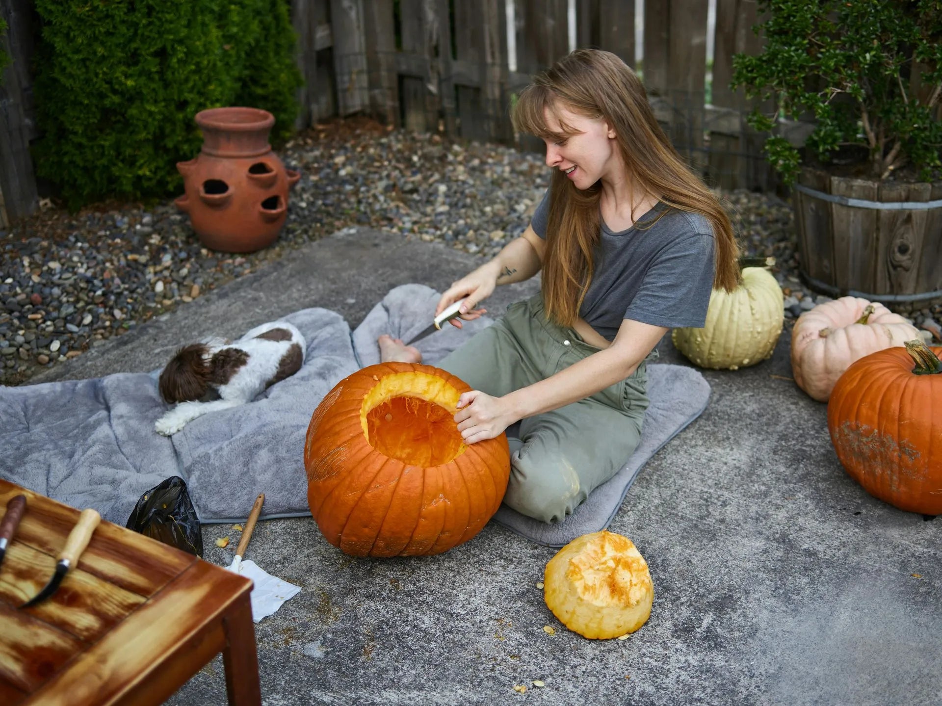 Pet Safety Tips for Halloween