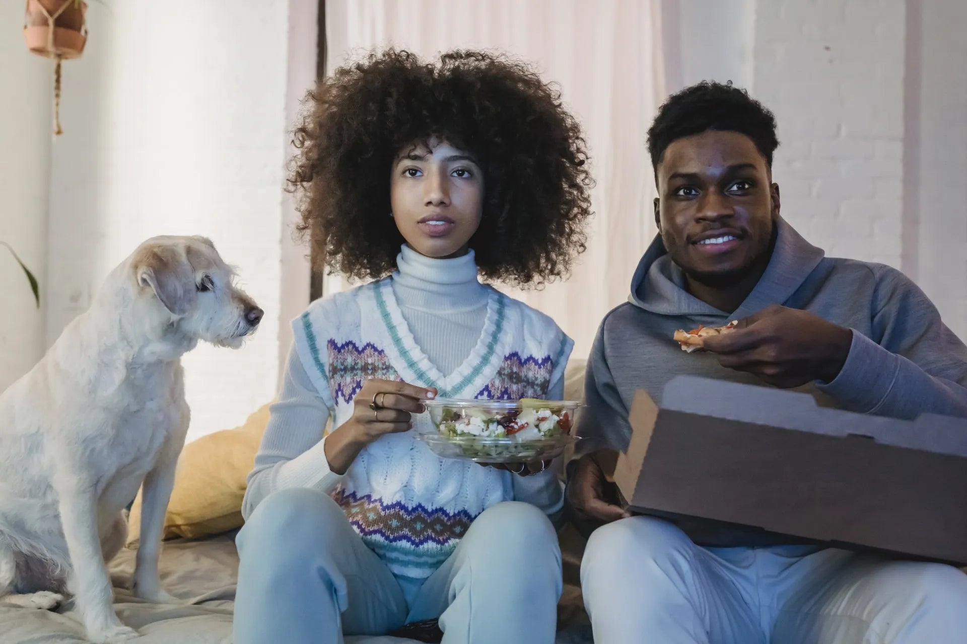 Football Snacks You Can Safely Share With Your Dog During The Big Game