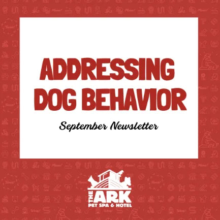 ADDRESSING DOG BEHAVIOR