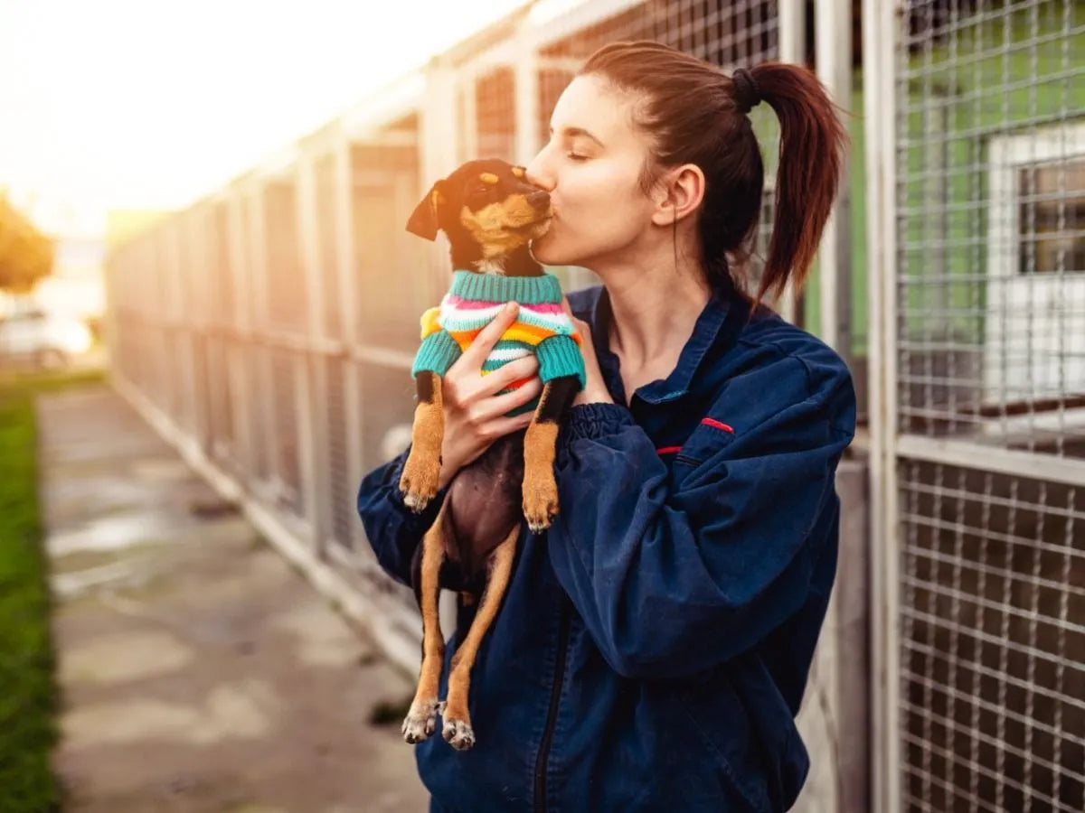 LENDING A PAW | OCTOBER IS ADOPT A SHELTER DOG MONTH