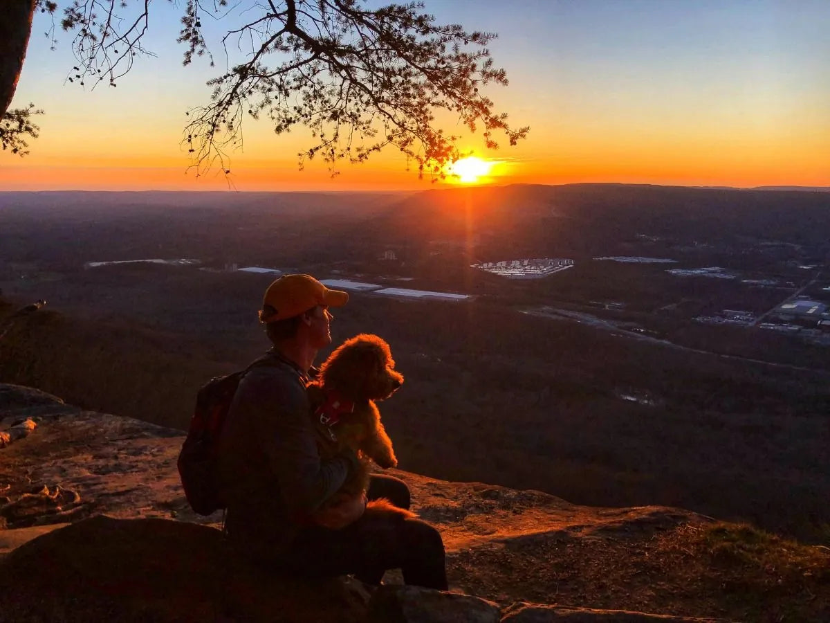 BEST TRAILS IN CHATTANOOGA | FOR THE DOGS!