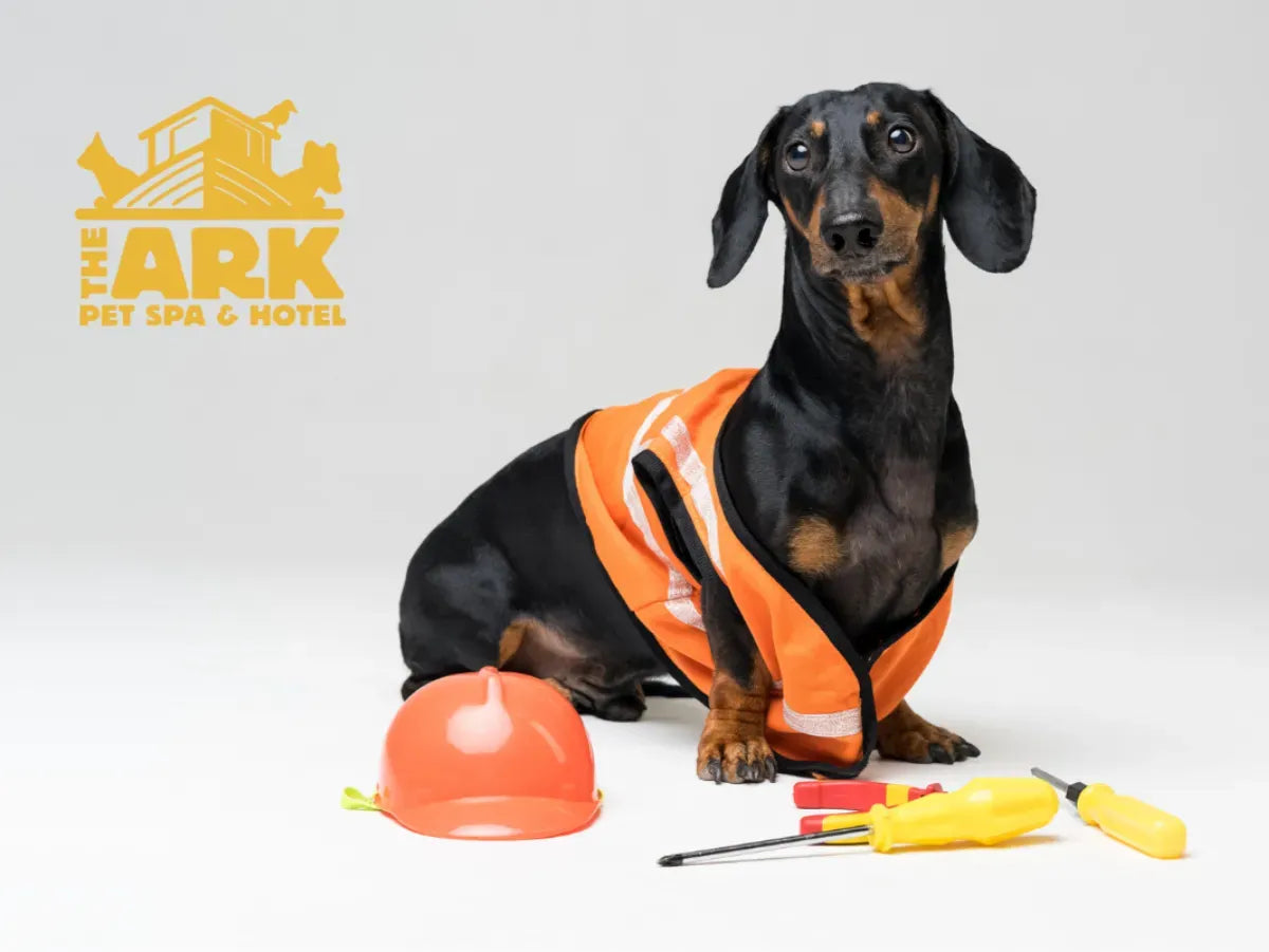 THE ARK RED BANK - TEMPORARILY CLOSING FOR RENOVATIONS.